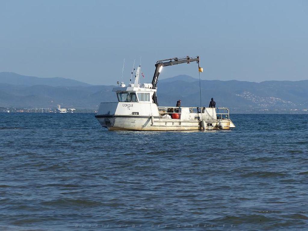 183 D19 PRESQU ILE DE GIENS 2_000004.jpg